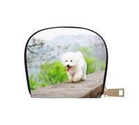 YWSOTRE Parque Bichón Frisé Mascotas Perros Perros Bichón Frisé, Funda de Cuero de PU para Tarjetas, Tarjetero Elegante, Tarjetero Tipo Billetera