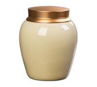 YXCQHZM Urnas y piedras conmemorativas para perros, mascotas, gatos, perros, cremación, entierro, urna funeraria para cenizas, ataúdes de almacenamiento (B)