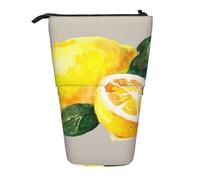 YXDVPALNE Acuarela Fruta de Verano Limones Hojas Slich,Estuche telescópico para lápices, Soporte para lápices con Cremallera.