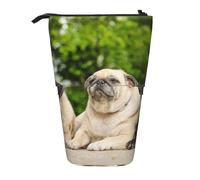 YXDVPALNE Amistad Pug Bokeh Perros Mascotas Amigos Pug,Estuche telescópico para lápices, Soporte para lápices con Cremallera.