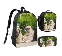 YXDVPALNE Amistad Pug Bokeh Perros Mascotas Amigos Pug,Mochila para estudiantes, bolsa de almuerzo y estuche de lápices (3 piezas)