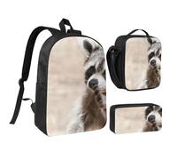YXDVPALNE Animales inteligentes Mapache Naturaleza,Mochila para estudiantes, bolsa de almuerzo y estuche de lápices (3 piezas)