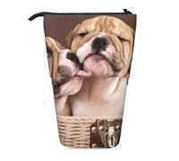 YXDVPALNE Beso de Cachorros de Bulldog inglés,Estuche telescópico para lápices, Soporte para lápices con Cremallera.
