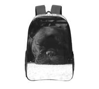 YXDVPALNE Bulldog francés,Mochila informal de 16 pulgadas, transparente, resistente al agua, para la escuela