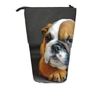 YXDVPALNE Bulldog inglés arrodillado,Estuche telescópico para lápices, Soporte para lápices con Cremallera.
