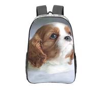 YXDVPALNE Cara de Cavalier King Charles Spaniel,Mochila informal de 16 pulgadas, transparente, resistente al agua, para la escuela
