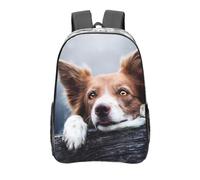 YXDVPALNE Dios del bokeh de Border Collie marrón con ojos amarillos,Mochila informal de 16 pulgadas, transparente, resistente al agua, para la escuela