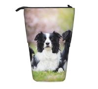 YXDVPALNE Familia de Border Collie,Estuche telescópico para lápices, Soporte para lápices con Cremallera.