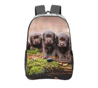 YXDVPALNE Familia de cachorros de labrador cachorros pequeños de color marrón,Mochila informal de 16 pulgadas, transparente, resistente al agua, para la escuela