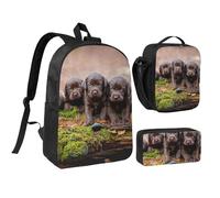 YXDVPALNE Familia de cachorros de labrador, cachorros pequeños marrones,Mochila para estudiantes, bolsa de almuerzo y estuche de lápices (3 piezas)