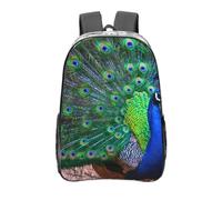 YXDVPALNE Hermoso pavo real,Mochila informal de 16 pulgadas, transparente, resistente al agua, para la escuela