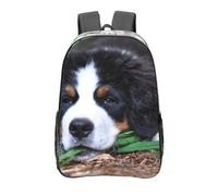 YXDVPALNE Hermoso perro de montaña bernés,Mochila informal de 16 pulgadas, transparente, resistente al agua, para la escuela