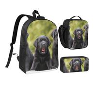 YXDVPALNE Impresión de perro labrador retriever,Mochila para estudiantes, bolsa de almuerzo y estuche de lápices (3 piezas)