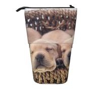 YXDVPALNE Labradores Cachorros Pequeños Golden Retriever,Estuche telescópico para lápices, Soporte para lápices con Cremallera.