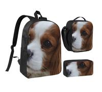YXDVPALNE Lindo Cavalier King Charles Spaniel,Mochila para estudiantes, bolsa de almuerzo y estuche de lápices (3 piezas)