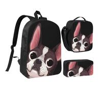 YXDVPALNE Naturaleza del Boston Terrier,Mochila para estudiantes, bolsa de almuerzo y estuche de lápices (3 piezas)