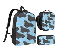 YXDVPALNE Patrón de animal de morsa,Mochila para estudiantes, bolsa de almuerzo y estuche de lápices (3 piezas)