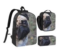 YXDVPALNE Perro Pug Impreso,Mochila para estudiantes, bolsa de almuerzo y estuche de lápices (3 piezas)