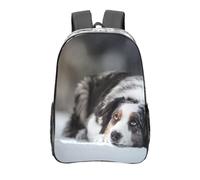 YXDVPALNE Perros de color blanco nieve gris de pastor australiano en invierno,Mochila informal de 16 pulgadas, transparente, resistente al agua, para la escuela