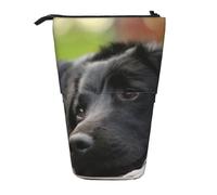YXDVPALNE Perros Labrador Negro Manzanilla Black Retriever,Estuche telescópico para lápices, Soporte para lápices con Cremallera.