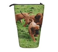 YXDVPALNE Rhodesian Ridgebacks Perros Cachorros Mascotas Familia,Estuche telescópico para lápices, Soporte para lápices con Cremallera.