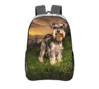 YXDVPALNE Schnauzer Atardecer Perros Mascotas Montañas Schnauzer,Mochila informal de 16 pulgadas, transparente, resistente al agua, para la escuela