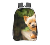 YXDVPALNE Yorkshire Terrier Bokeh Lindos perros de pared,Mochila informal de 16 pulgadas, transparente, resistente al agua, para la escuela