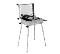 YXFAZPP Estuche de Tren de Maquillaje con Carrito de Aluminio Extra grande con Luces LED incorporadas Organizador de cosméticos Profesional Estudio con Soporte Maquillaje (Silver Stripe 58X45X23cm)