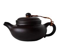 Yxhupot Tetera china Yixing de 243.8 g de arcilla negra auténtica Zisha Classics infusores de té
