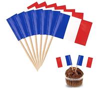 YXHZVON Bandera de Francia Palillos de Dientes, 100 Piezas Cocktail Stick Banderas Mini Bandera Cupcake Toppers Palillo para la Fiesta de Alimentos Pastel de Frutas Platos Fiesta Pub Decoración