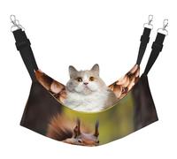 YXLymxDAMAI Squiries Looking for Food - Hamaca para gatos con correas ajustables, adecuada para gatos, hurones, cachorros o mascotas pequeñas
