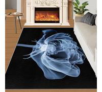 YXQAIED Alfombra transparente de flores y decoración del hogar, alfombra lavable de 90 x 120 cm, alfombras florales para entrada, sala de estar, tapete antideslizante suave para puerta de interior