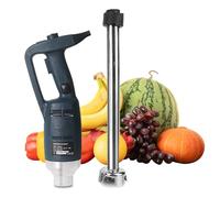 YXYLJOZ Batidora de Mano con Velocidad Variable y Eje de Acero Inoxidable para sopas y Batidos.