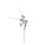 YXZKJZJ Turbina aerogeneradora de 800W, 6 aspas, 12V, 24V, 24V, Alta eficiencia, for Uso doméstico, Yates, Granjas, farolas para el hogar, la Granja, el alumbrado público y l(Wind Turbine Only,24V)