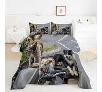 YYDIANZ Edredon Cama 90/105 Estilo «PequeñAs AlegríAs De La Vida» Edredón Perro de Microfibra 300gr/m², Relleno Nórdico Suave, Ligero, Reversible y Transpirable, 4 Estaciones (150x220 cm)