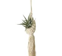 YYDPYZBD Red de Pesca Decorativa Tapiz, Tapiz Bohemio Tejido A Mano, Malla Bolsa Cesta Flores-Ancho 10