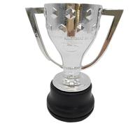 YYDSTES Trofeo De Campeones De Fútbol De España De Plata Trofeos De La Liga del Club De Fútbol Fans Coleccionables Recuerdos Oficina Decoraciones para El Hogar Adornos Regalos De Cumpleaños,15cm