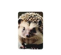 YYHHAOFA Juego de 4 tarjetas aromáticas rectangulares para coche, diseño de erizo, para colgar en el armario, baño, decoración interior de coche