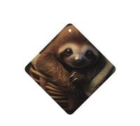 YYHHAOFA Juego de 6 tarjetas aromáticas cuadradas para coche, diseño de perezoso bebé, tarjetas perfumadas para dormitorio, baño, decoración interior del coche