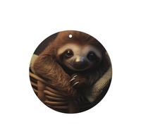 YYHHAOFA Juego de 6 tarjetas aromatizantes para coche, diseño de perezoso bebé, forma redonda, para decoración de interiores de dormitorio, baño, coche