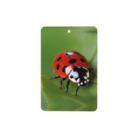 YYHHAOFA Juego de 6 tarjetas aromatizantes rectangulares para coche, diseño de mariquita roja, juego de 6 piezas: tarjetas perfumadas colgantes para dormitorio, baño, decoración interior de coche