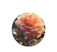 YYHHAOFA Pretty Rose - Juego de 6 tarjetas aromatizantes para coche, diseño de rosas redondas, para decoración de interiores de dormitorio, baño, coche