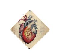 YYHWHJDE Ambientadores cuadrados para coche, diseño de anatomía humana, paquete de seis tarjetas perfumadas para colgar en el armario, baño, decoración interior del coche