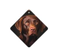 YYHWHJDE Ambientadores cuadrados para coche, diseño de labrador retriever marrón, paquete de seis tarjetas perfumadas para colgar en el armario, baño, decoración interior del coche