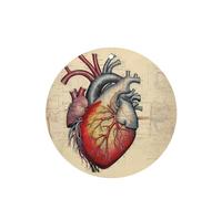 YYHWHJDE Ambientadores de coche de forma redonda con diseño de anatomía humana, paquete de seis tarjetas: tarjetas perfumadas colgantes para armario, baño, decoración interior de coche