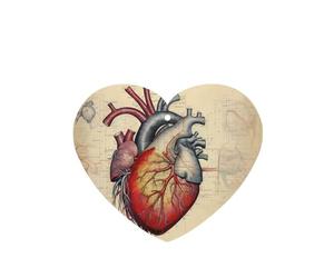 YYHWHJDE Ambientadores de coche en forma de corazón con forma de corazón de anatomía humana, paquete de seis tarjetas: tarjetas perfumadas colgantes para armario, baño, decoración interior de coche