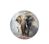 YYHWHJDE Ambientadores de pared rota con diseño de elefante de forma redonda, paquete de seis tarjetas perfumadas para colgar en el armario, baño, decoración interior del coche