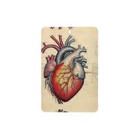 YYHWHJDE Ambientadores rectangulares para coche, diseño de anatomía humana, paquete de seis tarjetas perfumadas para colgar en el armario, baño, decoración interior del coche