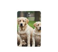 YYHWHJDE Ambientadores rectangulares para coche, diseño de perros labrador, paquete de 4: tarjetas perfumadas colgantes para dormitorio, baño, decoración interior del coche