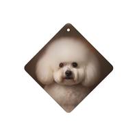 YYHWHJDE bichon frise - Ambientadores cuadrados para coche, diseño de perro, paquete de seis tarjetas perfumadas colgantes para armario, baño, decoración interior de coche